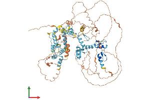 AlphaFold protein structure predicition of Mouse Recombinant Nrif2 Protein, UniprotID Q921B4 (Zfp369/Nrif2 Protein (AA 1-824) (His tag))