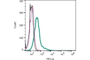 anti-Roundabout, Axon Guidance Receptor, Homolog 1 (ROBO1) (AA 491-506), (Extracellular) antibody (FITC)