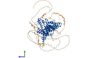 Protein Structure (PS) image for phosphodiesterase 4A, CAMP-Specific (PDE4A) (AA 1-886) protein (His tag) (ABIN7554927)