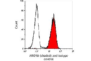 Flow Cytometry (FACS) image for anti-AT Rich Interactive Domain 1B (SWI1-Like) (ARID1B) (AA 1425-1475) antibody (ABIN7795694)