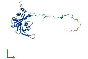 AlphaFold protein structure predicition of Mouse Recombinant Rpf2 Protein, UniprotID Q9JJ80 (RPF2 Protein (AA 1-306) (His tag))