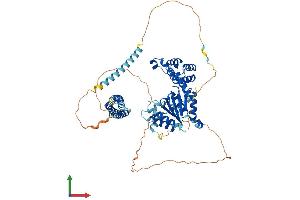 AlphaFold protein structure predicition of Mouse Recombinant Spast Protein, UniprotID Q9QYY8