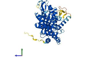Protein Structure (PS) image for Tubulin, epsilon 1 (TUBE1) (AA 1-475) protein (His tag) (ABIN7544359)