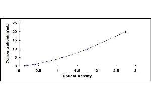 Typical standard curve (Vitamin D Receptor ELISA Kit)