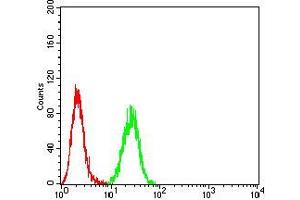 Flow cytometric analysis of Hela cells using Neuropilin-1 mouse mAb (green) and negative control (red). (Neuropilin 1 antibody  (AA 45-59))