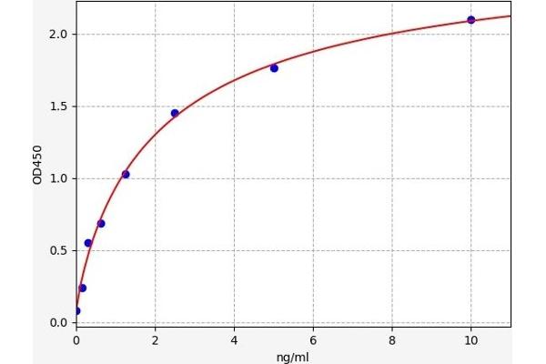 OLIG2 ELISA Kit