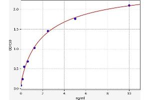 Typical standard curve (OLIG2 ELISA Kit)