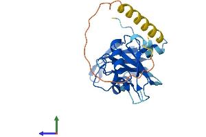 AlphaFold protein structure predicition of Mouse Recombinant Snrpb2 Protein, UniprotID Q9CQI7 (SNRPB2 Protein (AA 1-225) (His tag))