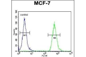 TTL Antibody (C-term) (ABIN651357 and ABIN2840199) flow cytometric analysis of MCF-7 cells (right histogram) comred to a negative control cell (left histogram). (TTPAL antibody  (C-Term))