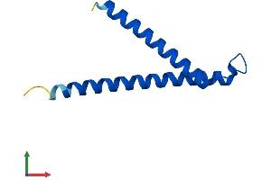 AlphaFold protein structure predicition of Mouse Recombinant Timm10 Protein, UniprotID P62073