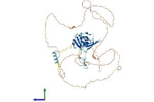 AlphaFold protein structure predicition of Mouse Recombinant Coil Protein, UniprotID Q5SU73 (Coilin Protein (COIL) (AA 1-570) (His tag))