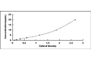 Typical standard curve (OB Cadherin ELISA Kit)