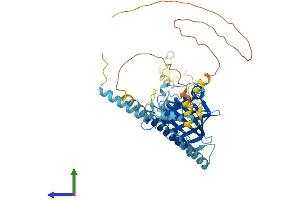 AlphaFold protein structure predicition of Human Recombinant PPAN Protein, UniprotID Q9NQ55 (PPAN Protein (AA 1-473) (His tag))