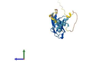 AlphaFold protein structure predicition of Mouse Recombinant Mospd1 Protein, UniprotID Q8VEL0 (MOSPD1 Protein (AA 1-213) (His tag))