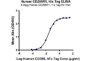 CD200 Receptor 1 (CD200R1) (AA 27-266) protein (His-Avi Tag)