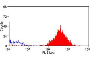 Image no. 1 for anti-CD48 (CD48) antibody (APC) (ABIN576845) (CD48 antibody  (APC))