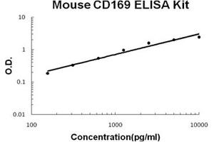 Mouse CD169/SIGLEC-1 PicoKine ELISA Kit standard curve