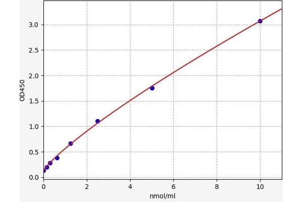MT-ND1 ELISA Kit