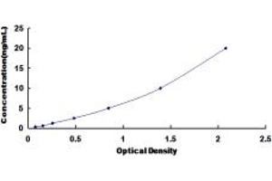 Typical standard curve (UGGT1 ELISA Kit)