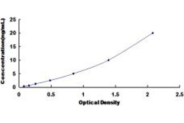UGGT1 ELISA Kit