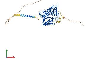 AlphaFold protein structure predicition of Mouse Recombinant Pld5 Protein, UniprotID Q3UNN8