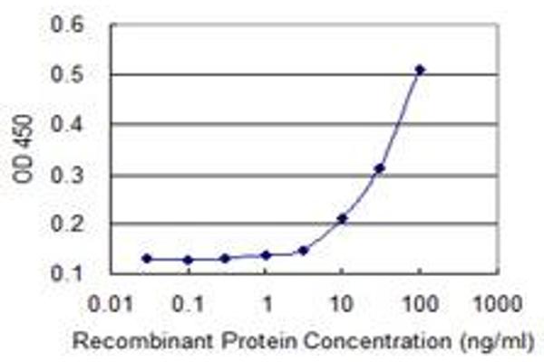 Calpain 15/SOLH antibody  (AA 993-1086)