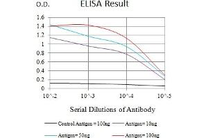 Black line: Control Antigen (100 ng),Purple line: Antigen (10 ng), Blue line: Antigen (50 ng), Red line:Antigen (100 ng) (JAG1 antibody  (AA 47-212))