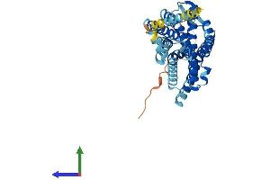AlphaFold protein structure predicition of Mouse Recombinant Oprl1 Protein, UniprotID P35377 (OPRL1 Protein (AA 1-367) (His tag))