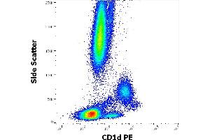 Flow cytometry surface staining pattern of human peripheral whole blood stained using anti-human CD1d (51. (CD1d antibody  (PE))