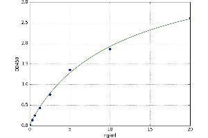 Ubiquitin B (UBB) ELISA Kit
