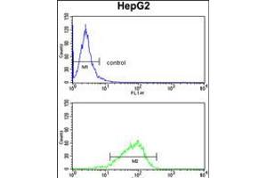 Flow cytometry analysis of HepG2 cells (bottom histogram) compared to a negative control cell (top histogram). (GPD1 antibody  (N-Term))
