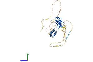 AlphaFold protein structure predicition of Mouse Recombinant Cpsf7 Protein, UniprotID Q8BTV2