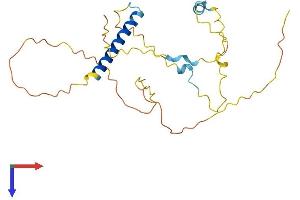 AlphaFold protein structure predicition of Human Recombinant INCA1 Protein, UniprotID Q0VD86 (INCA1 Protein (AA 1-236) (His tag))