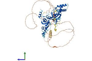 Protein Structure (PS) image for Homolog of Yeast RecQ-mediated Genome Instability 1 (RMI1) (AA 1-616) protein (His tag) (ABIN7560989)