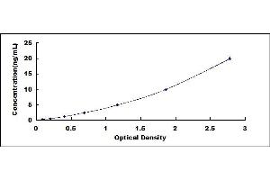 Typical standard curve (TGM1 ELISA Kit)