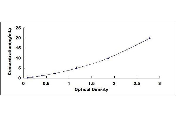 TGM1 ELISA Kit