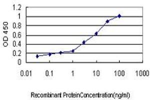 Detection limit for recombinant GST tagged SERPING1 is approximately 0. (SERPING1 antibody  (AA 1-500))