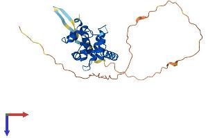 AlphaFold protein structure predicition of Mouse Recombinant Spdye4a Protein, UniprotID Q5IBH6 (Speedy Homolog B (Xenopus Laevis) (SPDYB) (AA 1-268) protein (His tag))