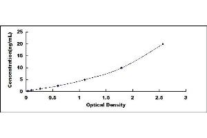 Typical standard curve (GLUT1 ELISA Kit)