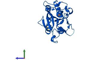 Protein Structure (PS) image for WDYHV Motif Containing 1 (WDYHV1) (AA 1-205) protein (His tag) (ABIN7549928)