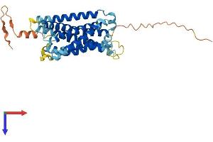 AlphaFold protein structure predicition of Mouse Recombinant Mrgprf Protein, UniprotID Q8VCJ6 (Mrgprf Protein (AA 1-343) (His tag))