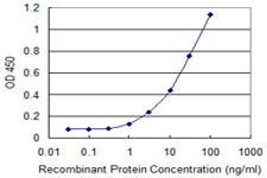 ELISA image for anti-Frizzled Family Receptor 7 (FZD7) (AA 155-254) antibody (ABIN6745994) (FZD7 antibody  (AA 155-254))