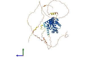 AlphaFold protein structure predicition of Mouse Recombinant Cacnb1 Protein, UniprotID Q8R3Z5 (CACNB1 Protein (AA 1-597) (His tag))