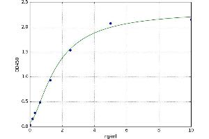 A typical standard curve