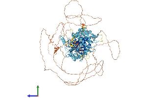 AlphaFold protein structure predicition of Human Recombinant MCM9 Protein, UniprotID Q9NXL9 (MCM9 Protein (AA 1-1143) (His tag))
