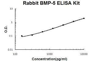 Rabbit BMP-5 PicoKine ELISA Kit standard curve (BMP5 ELISA Kit)