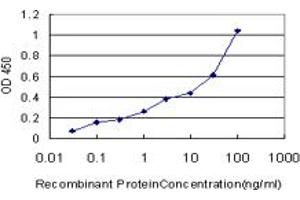 Detection limit for recombinant GST tagged EXOC7 is approximately 1ng/ml as a capture antibody. (EXOC7 antibody  (AA 586-684))