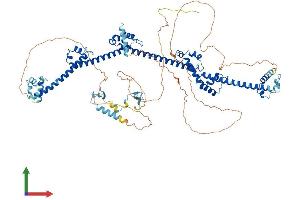 Protein Structure (PS) image for PRP40 Pre-mRNA Processing Factor 40B (PRPF40B) (AA 1-870) protein (His tag) (ABIN7558376)