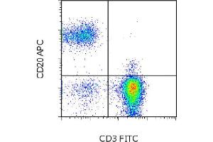 Flow Cytometry (FACS) image for anti-Membrane-Spanning 4-Domains, Subfamily A, Member 1 (MS4A1) antibody (APC) (ABIN2144232) (CD20 antibody  (APC))