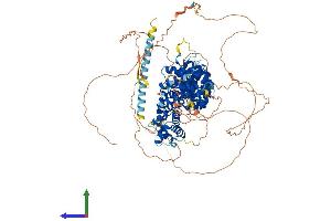 AlphaFold protein structure predicition of Mouse Recombinant Ctnnd1 Protein, UniprotID P30999 (CTNND1 Protein (AA 1-938) (His tag))